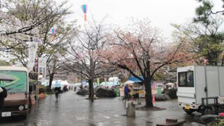 「北区さくらSA-KASOまつり」