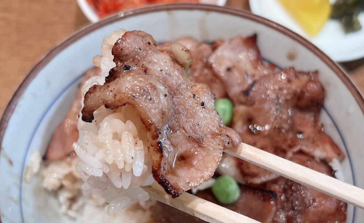 赤羽 炭火豚丼和とん