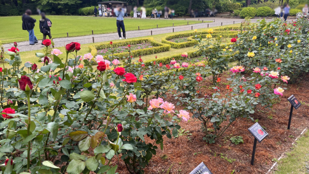 西ヶ原 旧古河庭園