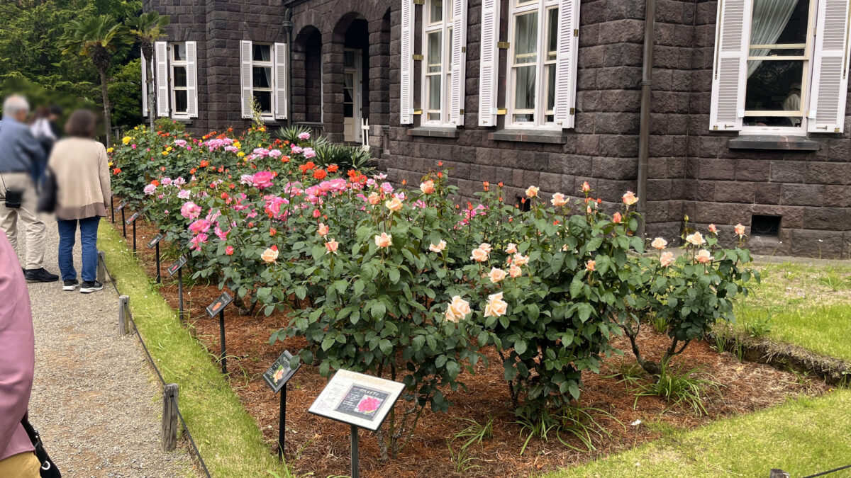 西ヶ原 旧古河庭園