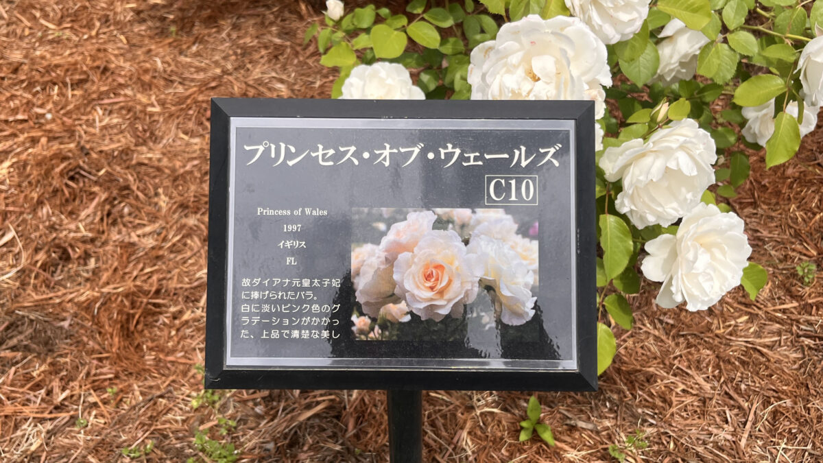 西ヶ原 旧古河庭園