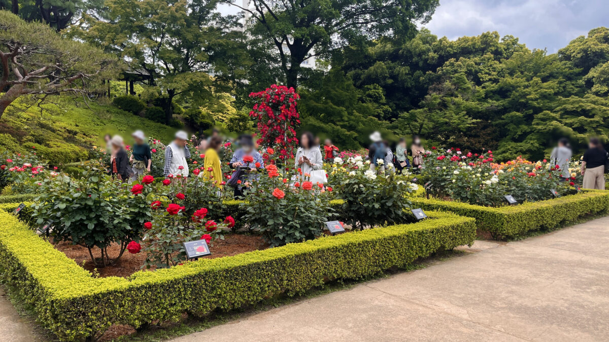 西ヶ原 旧古河庭園