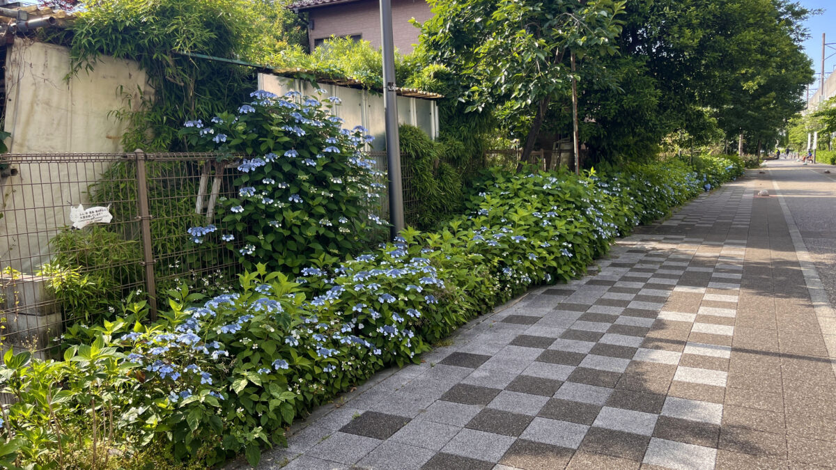 赤羽 稲付遊歩道