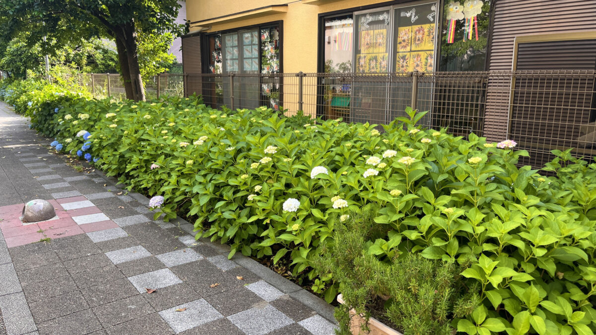 赤羽 稲付遊歩道