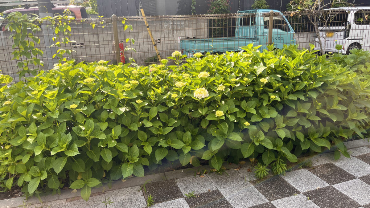 赤羽 稲付遊歩道