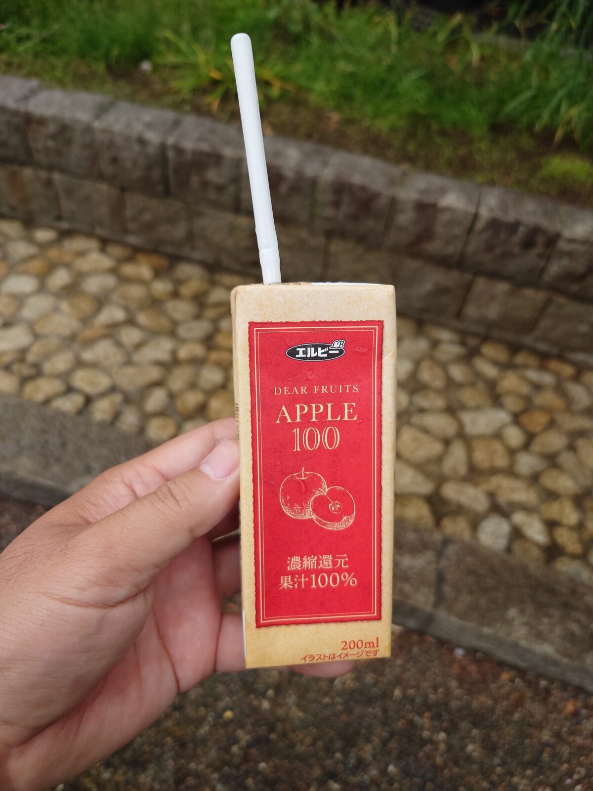 カッパ祭り