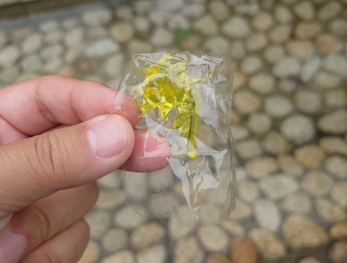 カッパ祭り