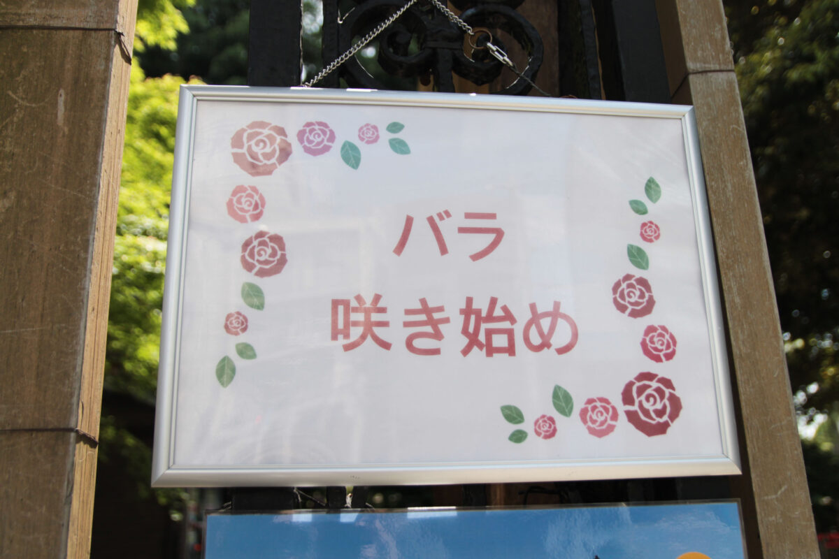 春のバラフェスティバル　旧古河庭園　北区