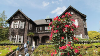 春のバラフェスティバル　旧古河庭園　北区