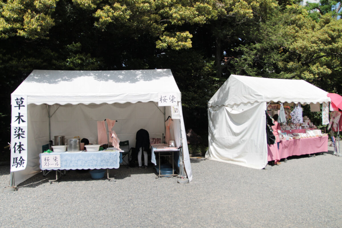 春のバラフェスティバル　旧古河庭園　北区