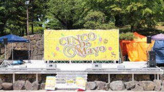 シンコデマヨ2025