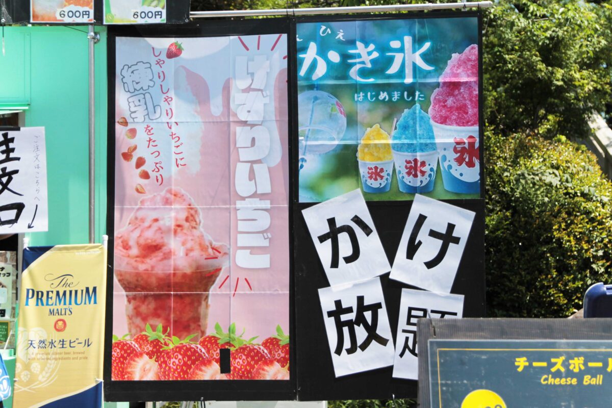 シンコデマヨ2025