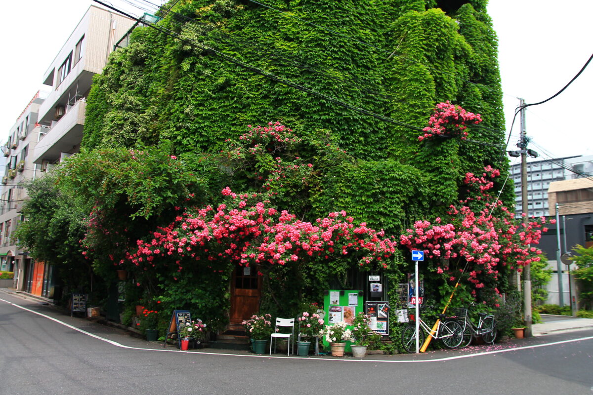 エリーズカフェ