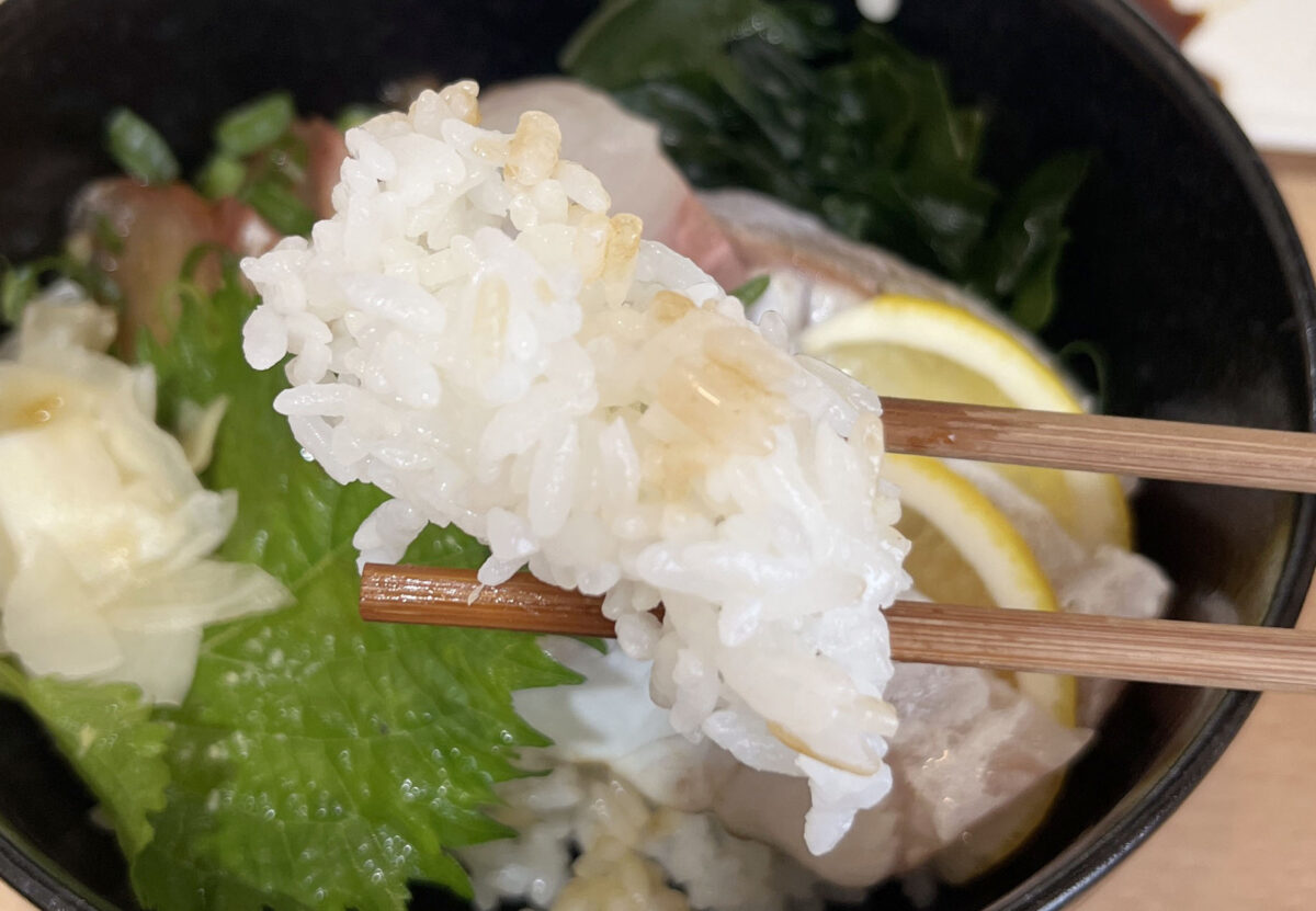 駒込 中里 平戸こんね