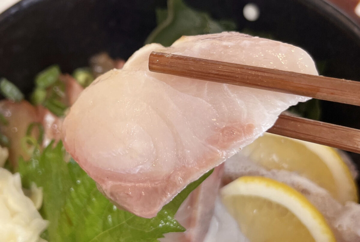 駒込 中里 平戸こんね
