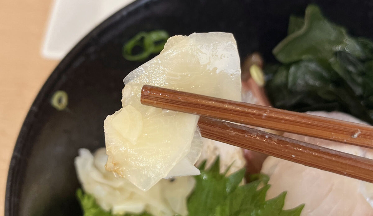 駒込 中里 平戸こんね