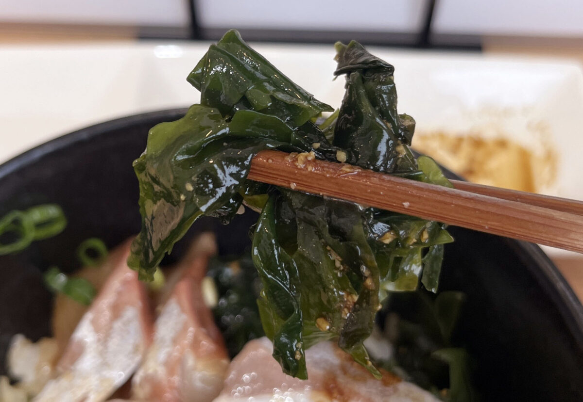 駒込 中里 平戸こんね