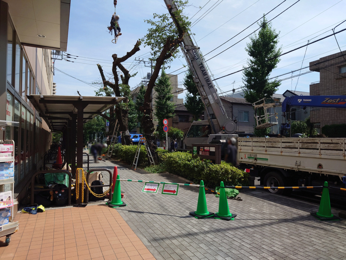 サミットストア 王子桜田通り店