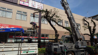 サミットストア 王子桜田通り店