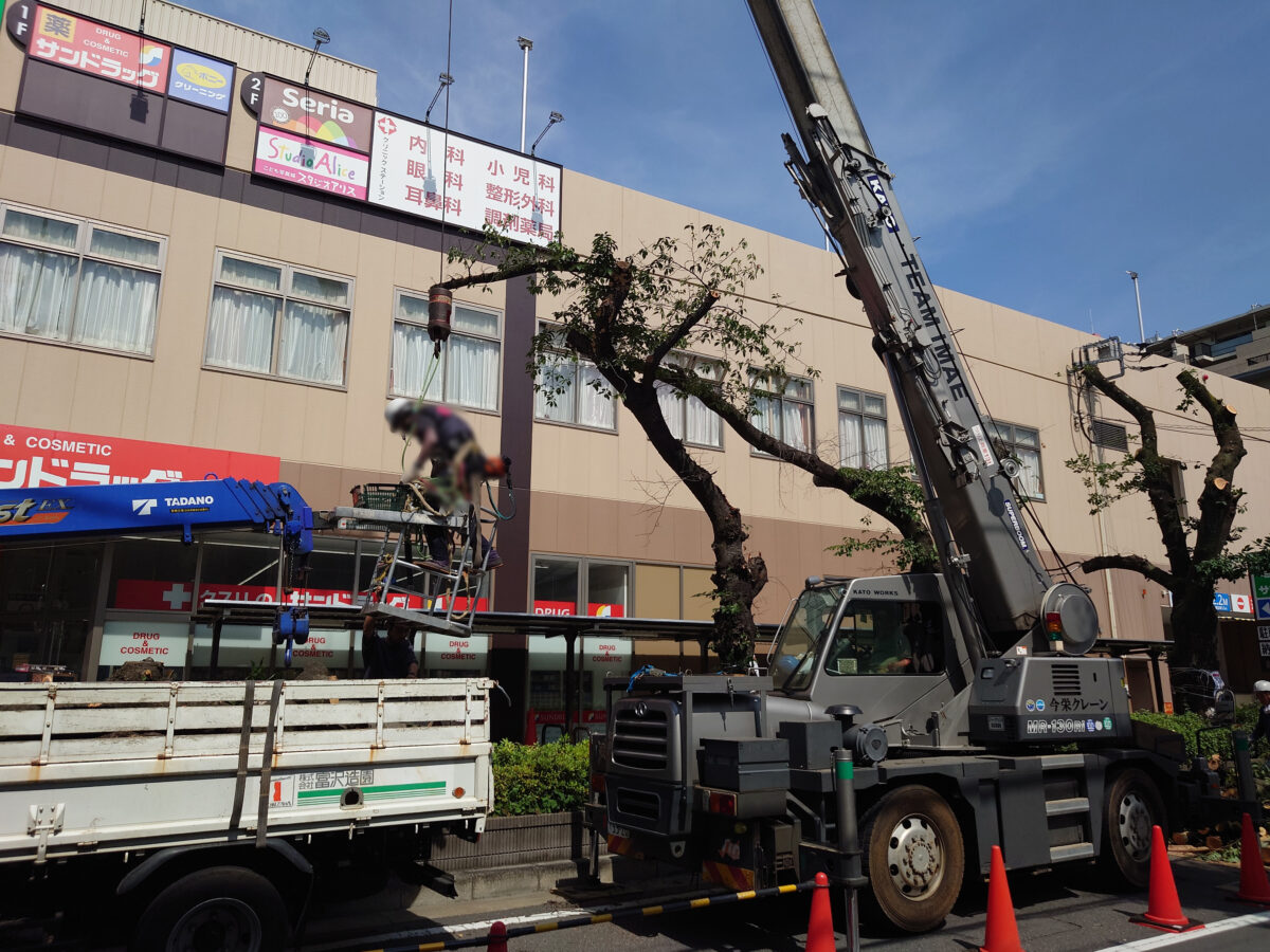 サミットストア 王子桜田通り店