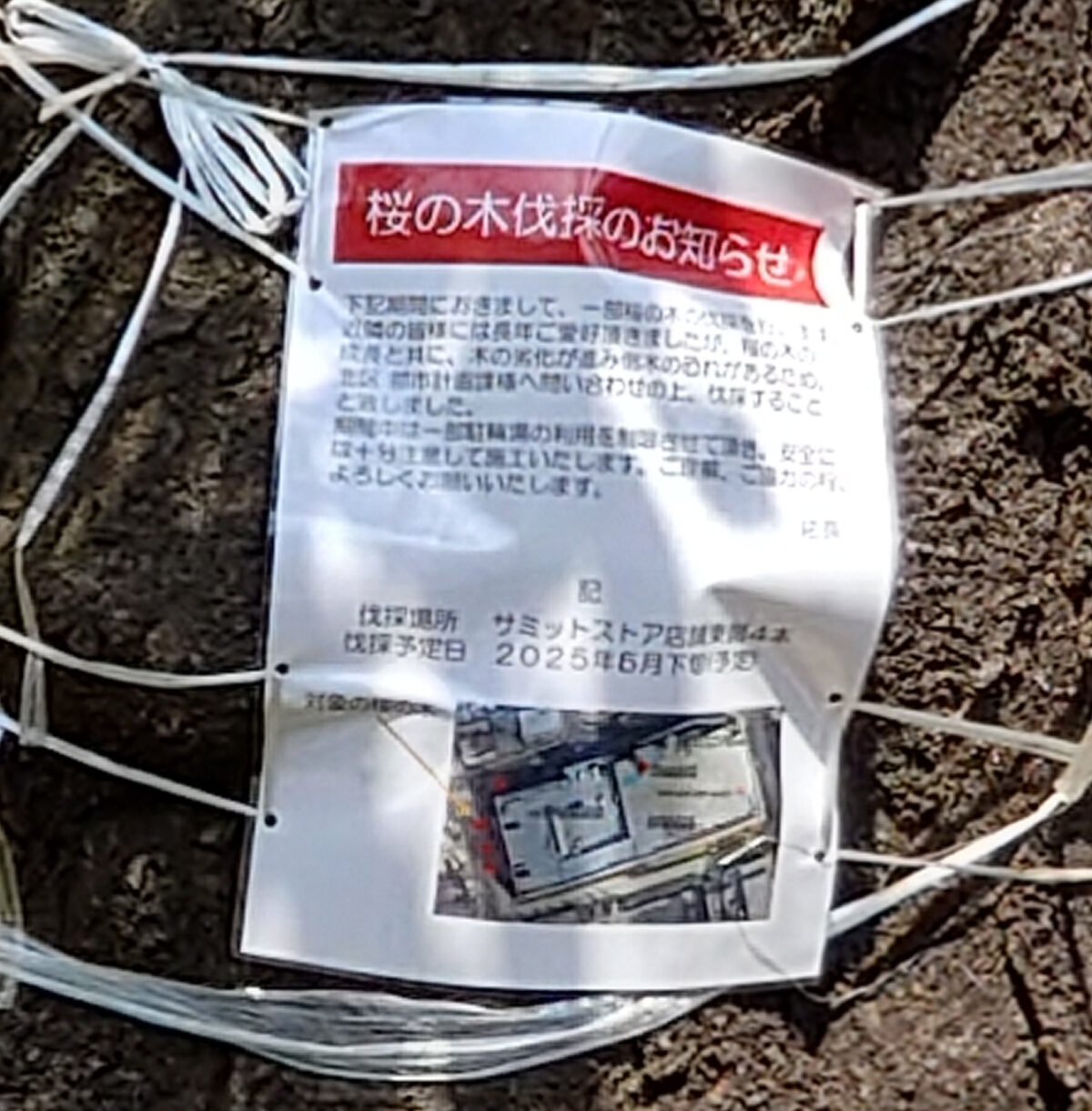 サミットストア 王子桜田通り店