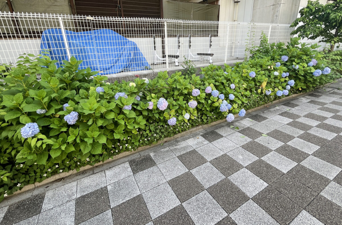 稲付遊歩道　赤羽