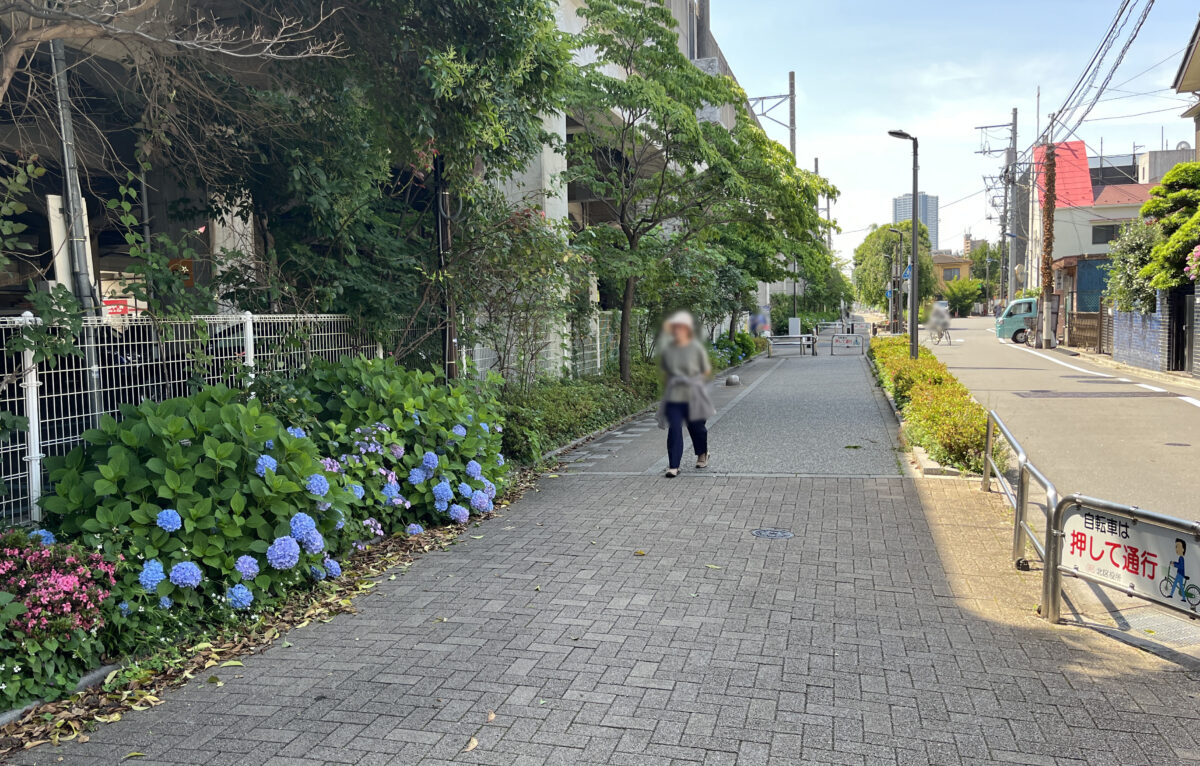 稲付遊歩道　赤羽