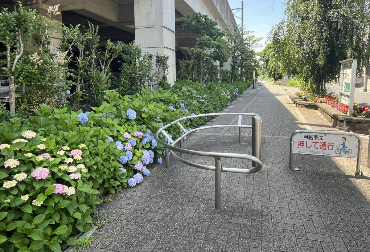 稲付遊歩道　赤羽