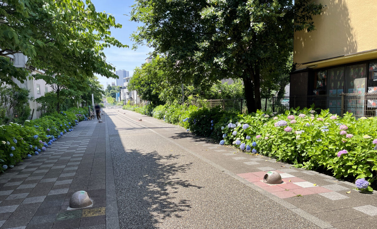 稲付遊歩道　赤羽