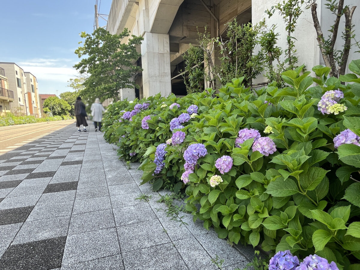 稲付遊歩道　赤羽