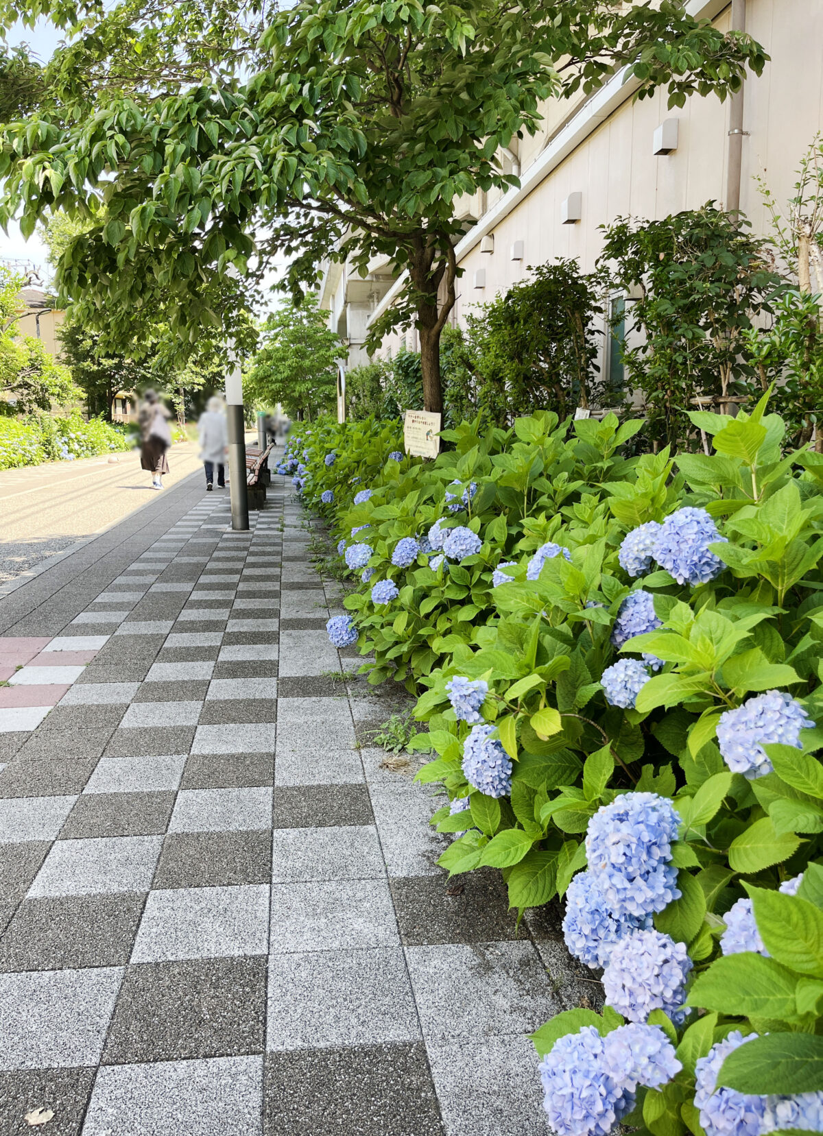 稲付遊歩道　赤羽
