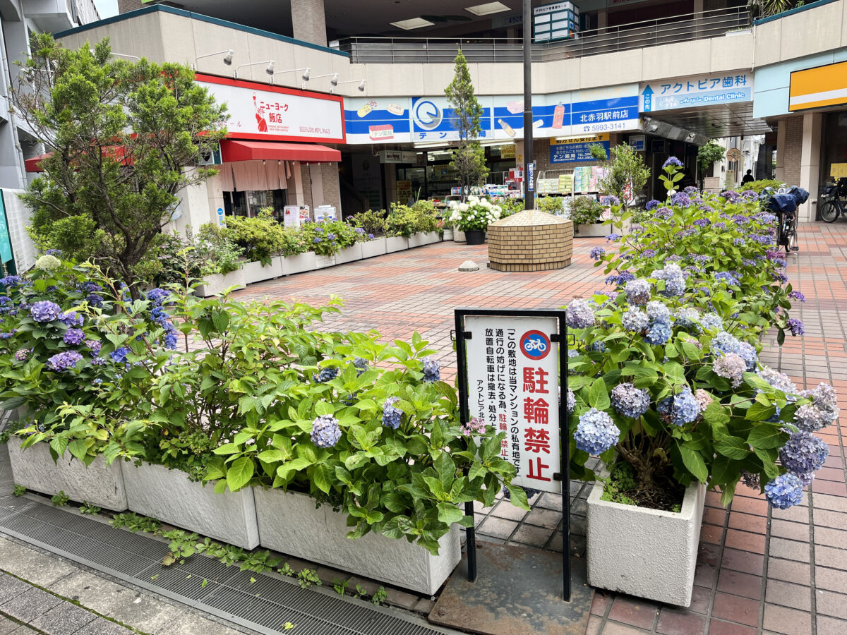 北赤羽　紫陽花 アクトピア