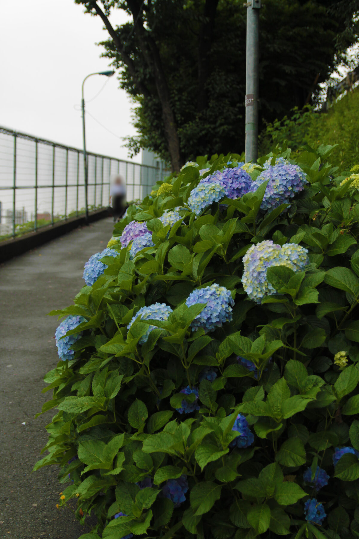 田端駅南口 坂道