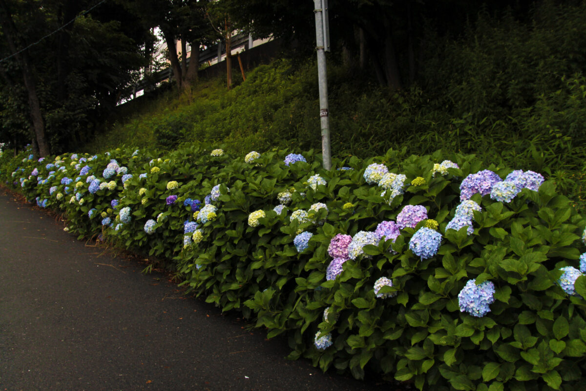 田端駅南口 坂道