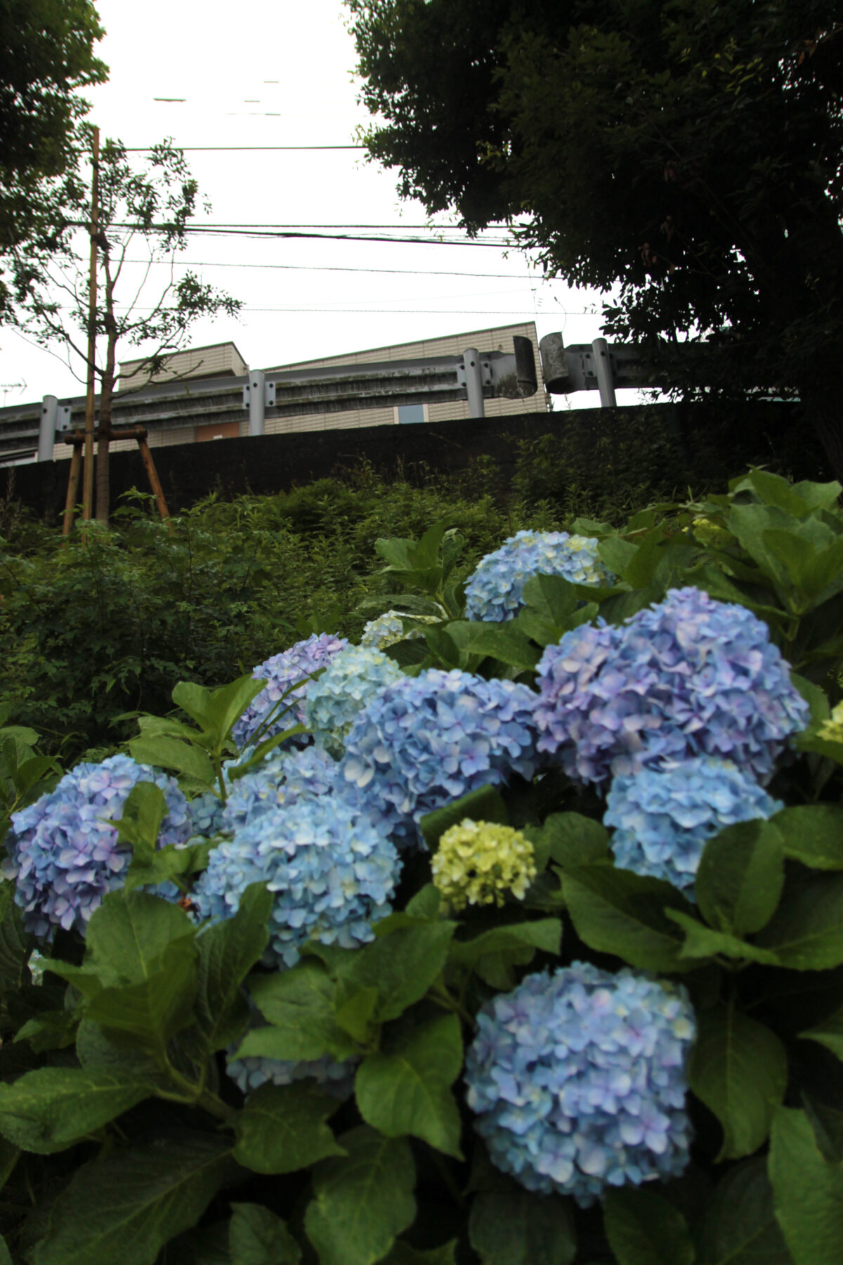 田端駅南口 坂道