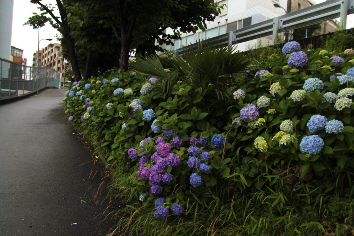 田端駅南口 坂道