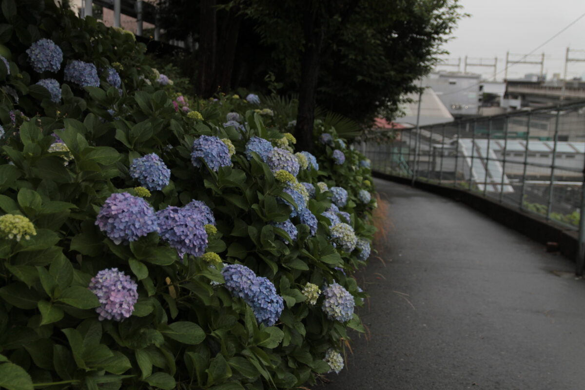 田端駅南口 坂道