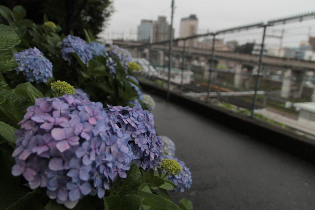 田端駅南口 坂道
