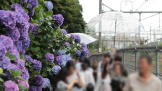 飛鳥の小径