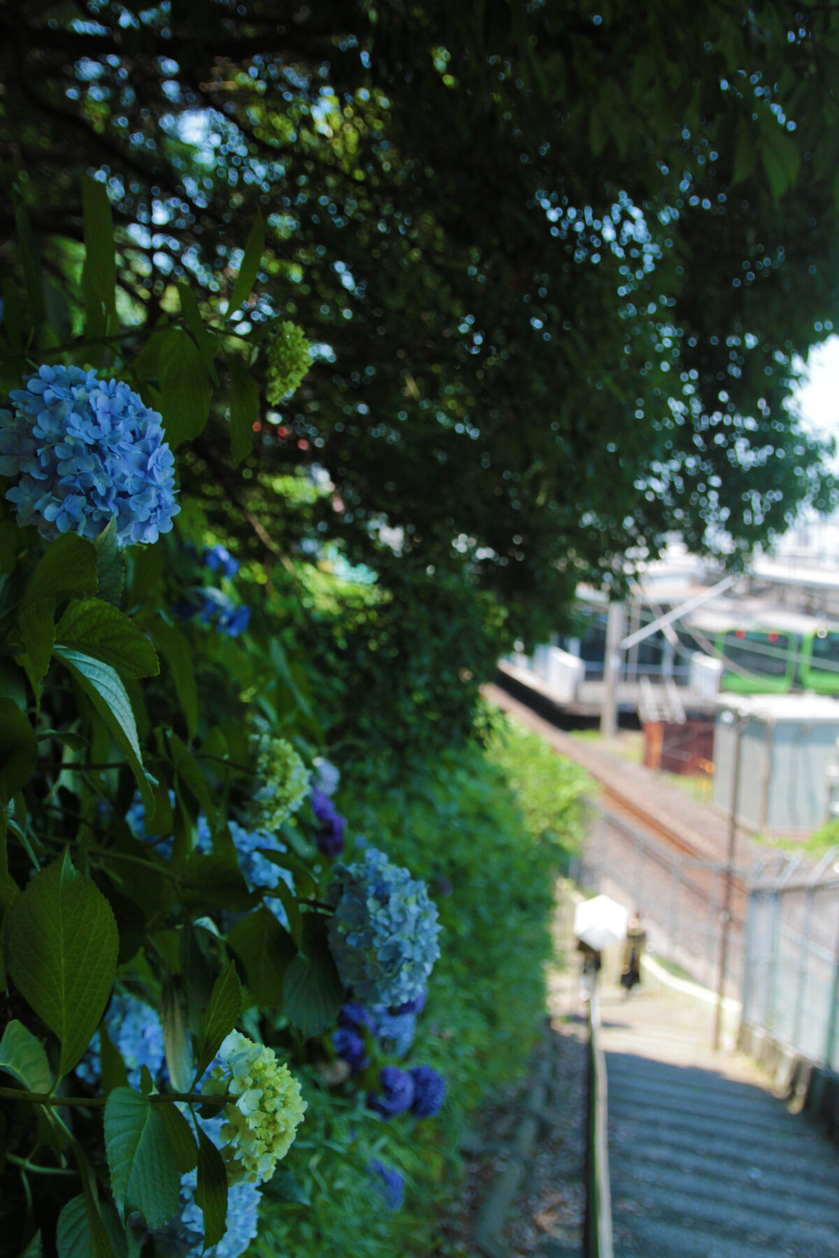 諏方神社