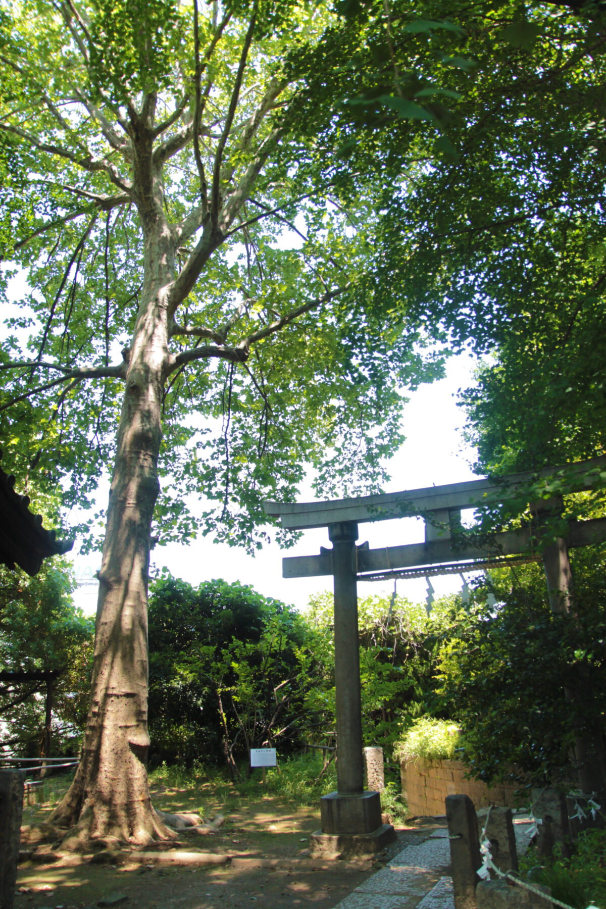 諏方神社