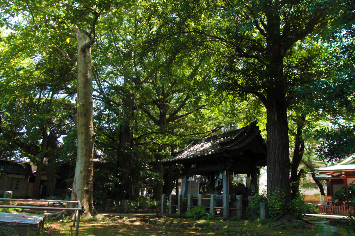 諏方神社