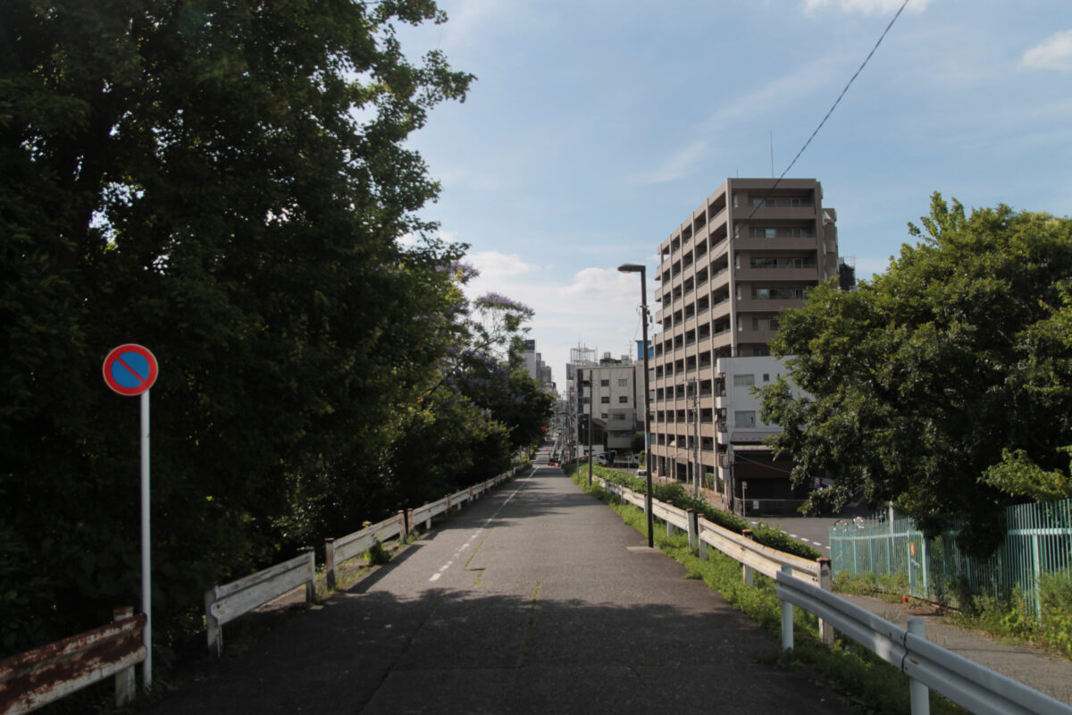 田端 ジャカランダ