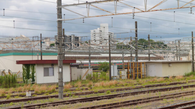 カシオペア