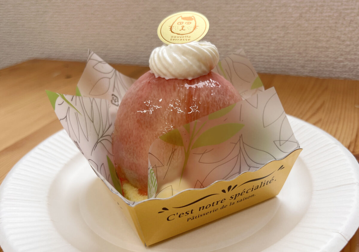 田端 ヌーヴェル・テラス nouvelle terrasse