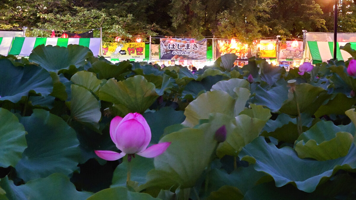 江戸趣味納涼大会・うえの夏まつり