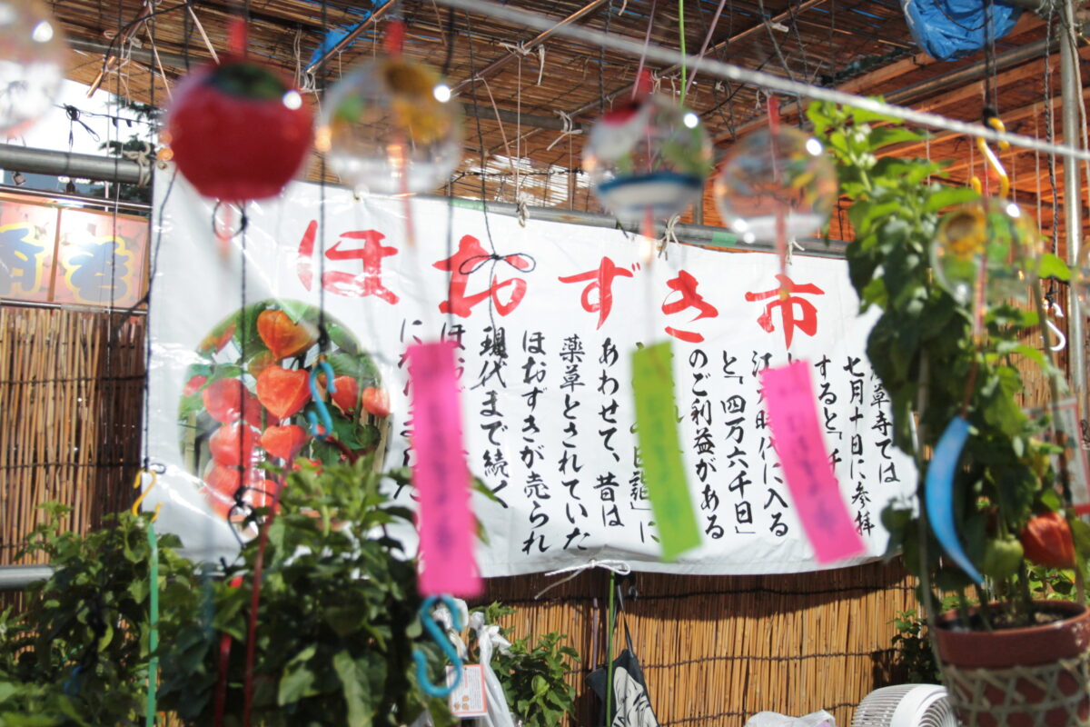 浅草ほおずき市