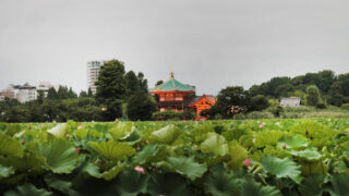 江戸趣味納涼大会・うえの夏まつり