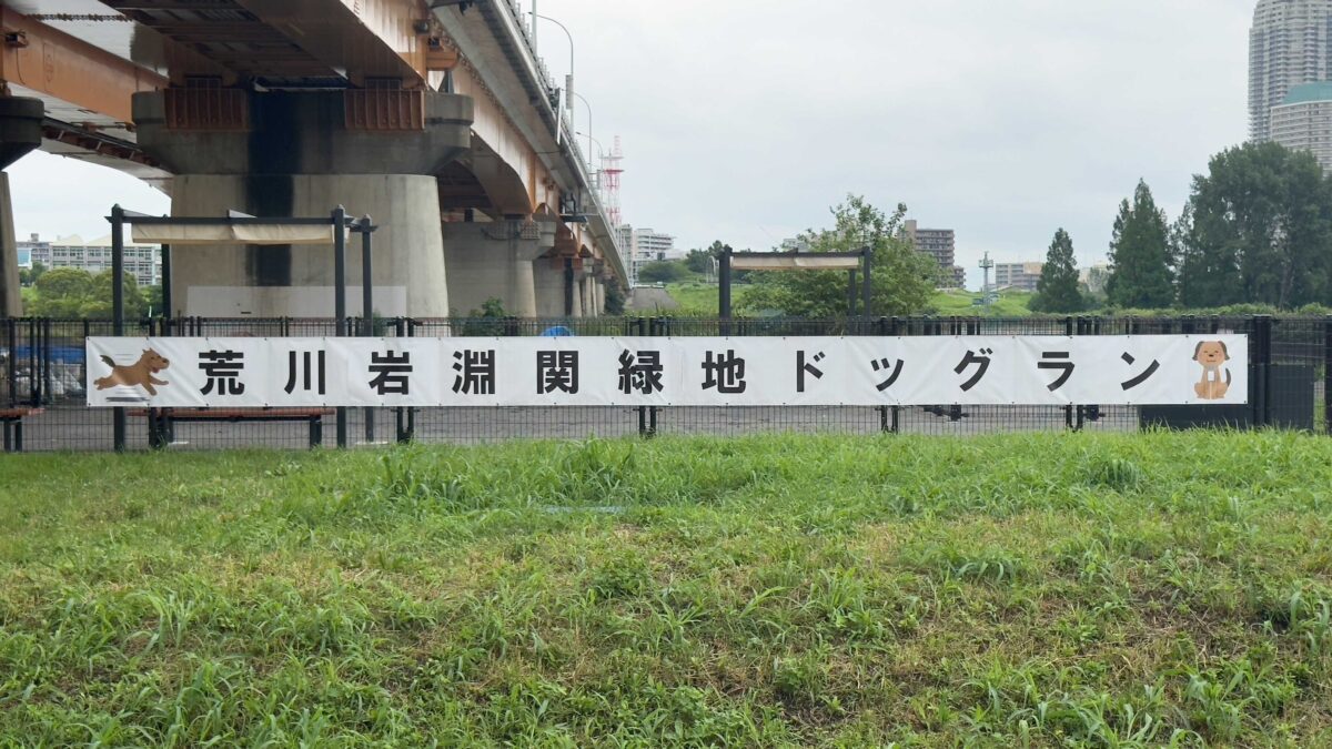 荒川岩淵関緑地ドッグラン