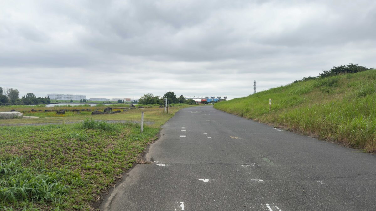 荒川岩淵関緑地ドッグラン